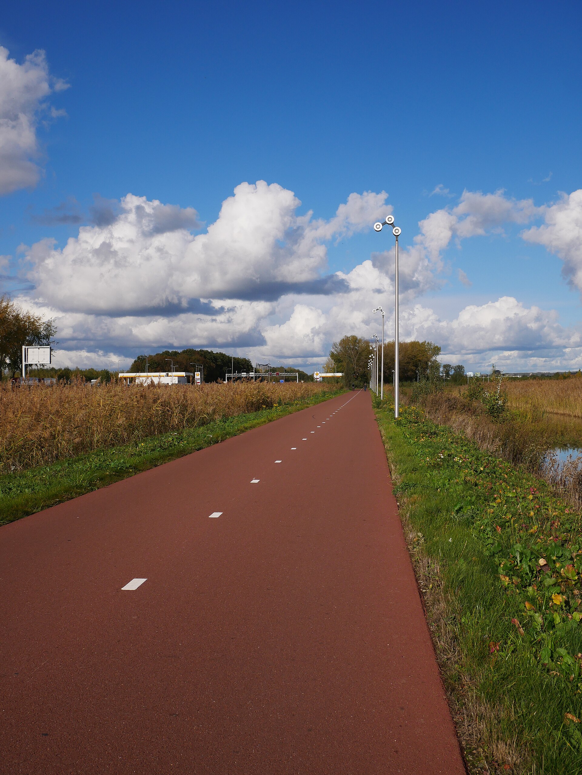 Netherlands countryside bicycles