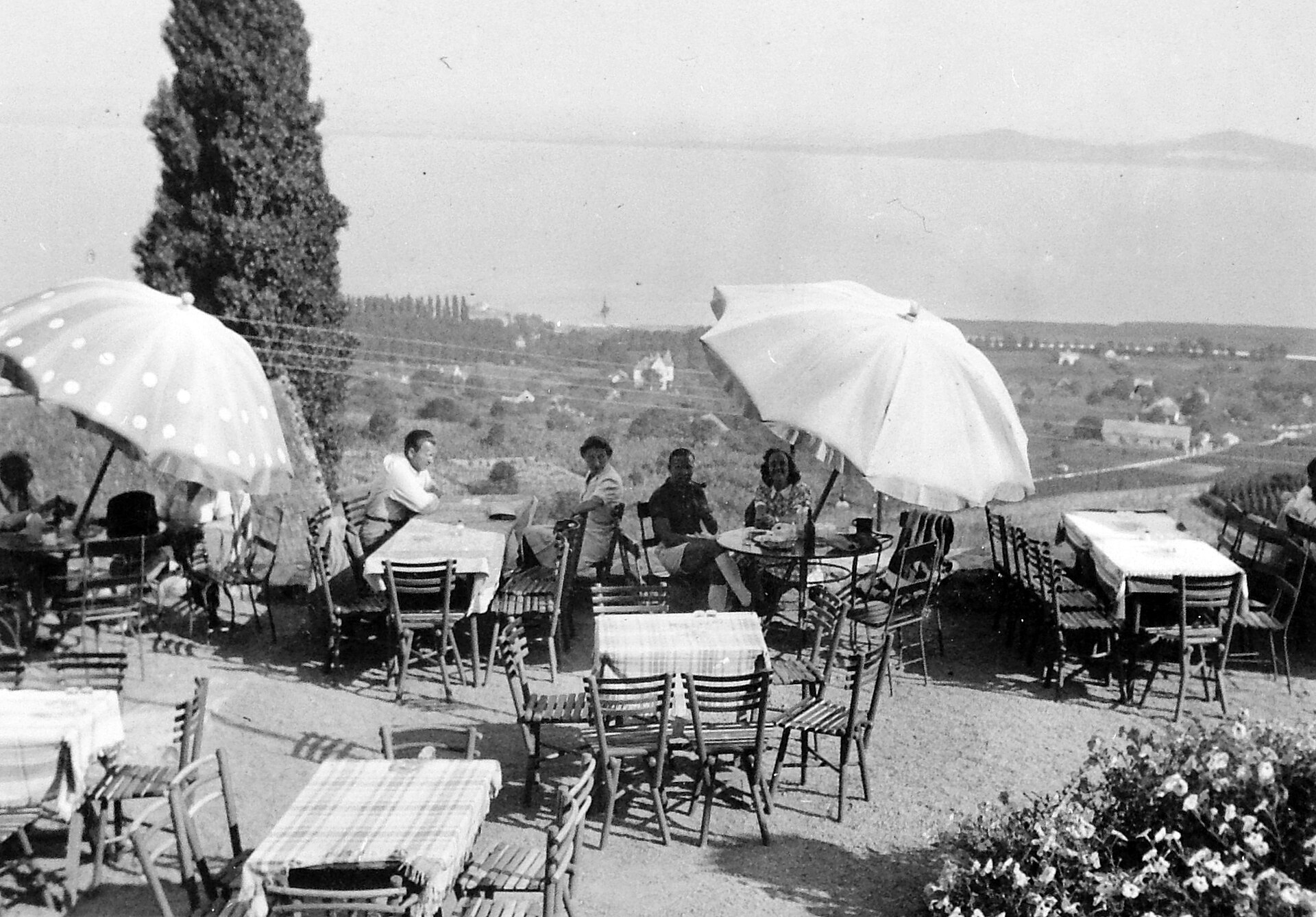 European cafe terrace bill
