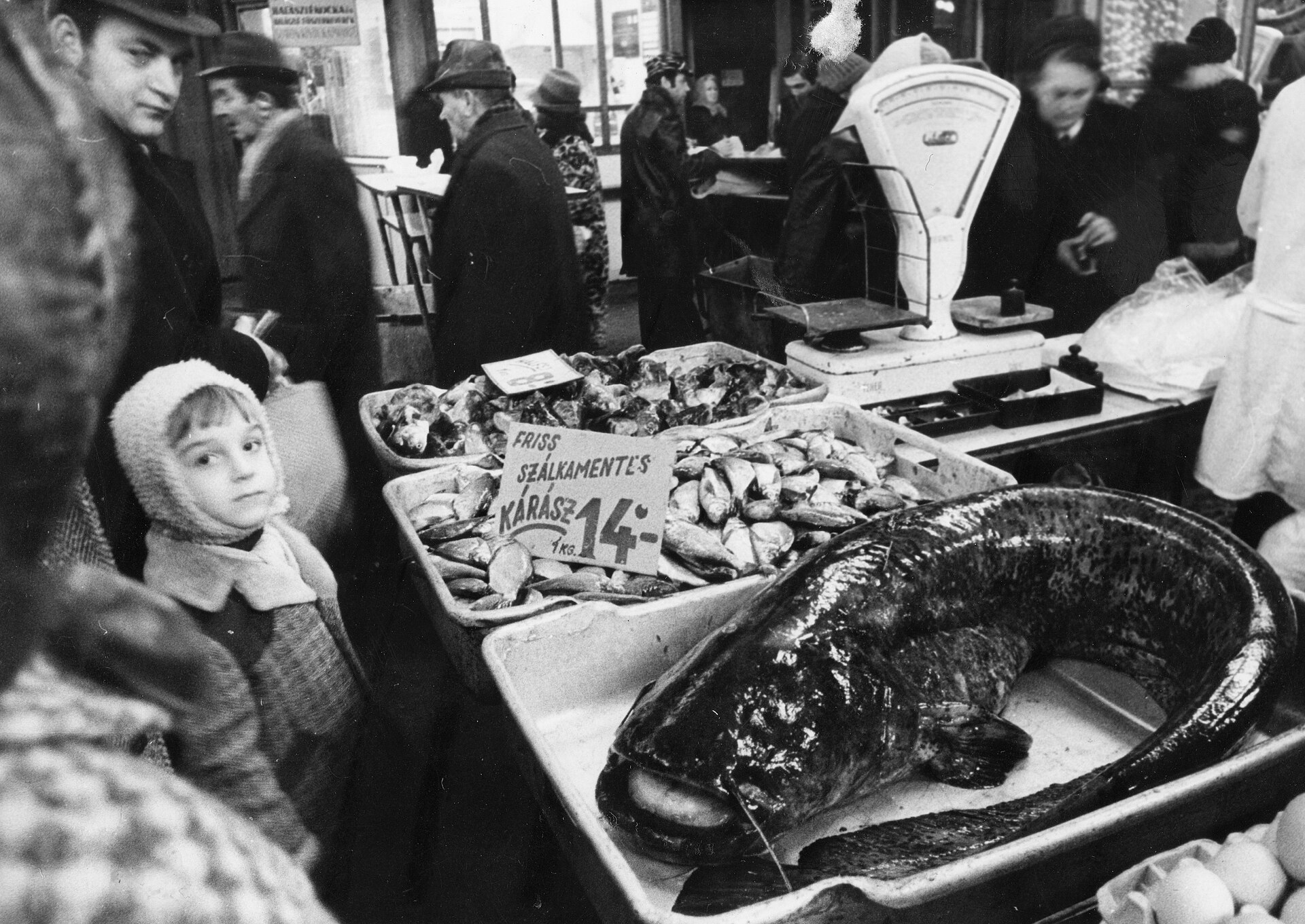 Budapest market hall food